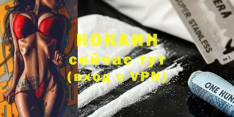 Кокаин FishScale  цены наркотик  mega ТОР  Николаевск 